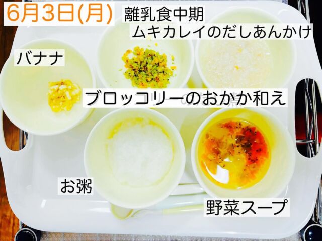 6月3日(月)〜5日(水)離乳食中期、後期と完了食の献立です🍴

6月に入ると、蒸し暑さ💦で疲れやすくなりました。ランチ中に睡魔と格闘する子ども達が続出！調理さんに協力いただき15分早く食べ始めることにしました😊

#東所沢保育園#所沢#保育園#駅近#東所沢 
#小規模保育園#バルーンナーサリーズ 
#保育園給食#幼児食