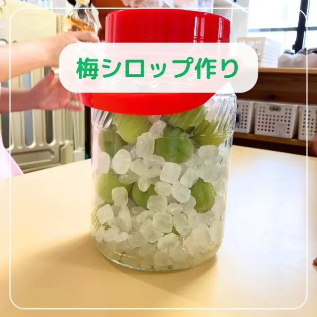 先週、2歳児さんで梅シロップ作りをしました！

梅を見て、匂いを嗅ぐと
「ぶどう？」「もも？」「マンゴー！」
とさまざまな果物を想像していました。
梅を触ってみると
「ふわふわしてるね」「硬いね」と感触を
お話してくれていました。

梅をそっと瓶に入れてくれた子どもたち。
少しずつ梅からエキスが出て
2、3週間ほどで完成予定です✨

完成したら水で割って
おやつの時間に楽しみたいと思います♪

#東所沢保育園#所沢#保育園#駅近#東所沢 
#小規模保育園#バルーンナーサリーズ
#食育#梅シロップ作り