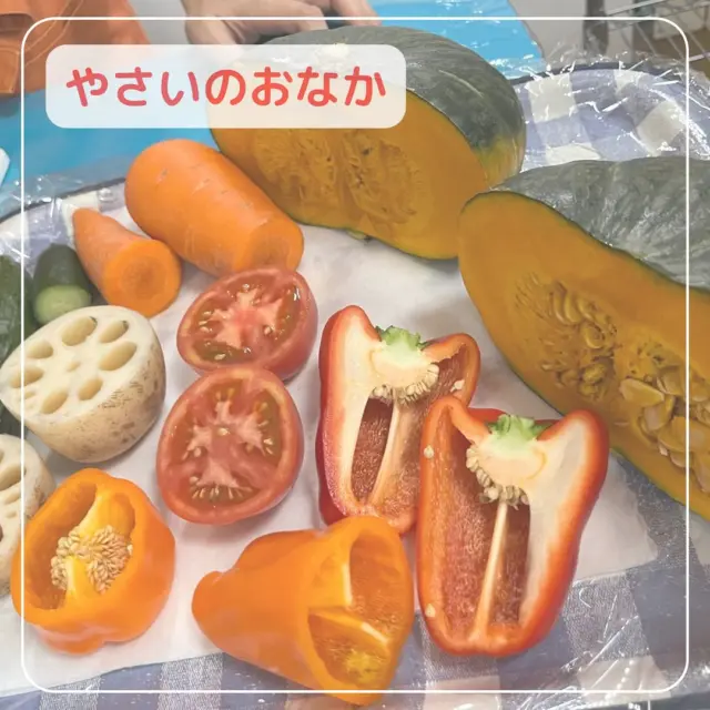 食育でやさいのおなかをしました！
2歳児さんは『やさいのおなか』の
絵本が大好きなこともあり、
絵本と照らし合わせながら見ていました。

野菜の名前を言ったり野菜を触ったり
れんこんの穴から覗いたりと
楽しんでいる子どもたちでした！

食育で見た野菜は、給食にして
だしてもらい、美味しくいただきました♪

#東所沢保育園#所沢#保育園#駅近#東所沢
 #小規模保育園#バルーンナーサリーズ
#食育#やさいのおなか