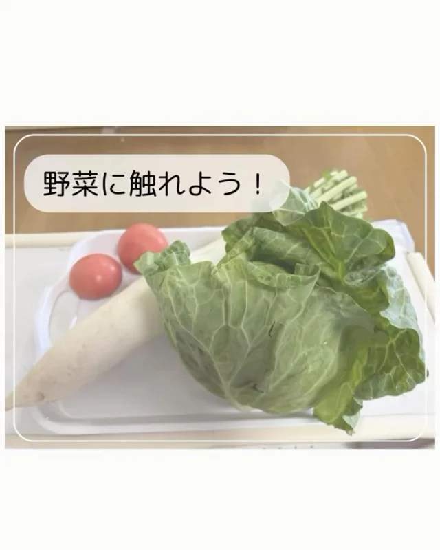 にじ組さん、ほし組さんで
4月、5月と食育で野菜に触れました。

手遊びの野菜の歌が好きな子どもたちなので
歌いながら触ったり野菜の匂いを嗅いだりしました！

季節にあった食育を今後も取り入れていきたいと思います♪