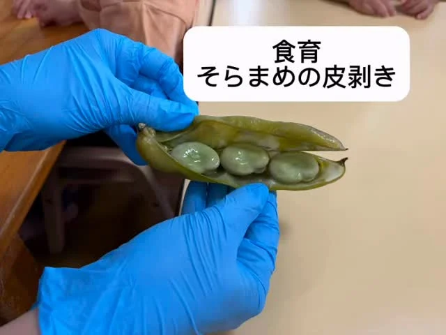 6月には食育でそら豆の皮剥きをしました！

初めてみる大きいそら豆に興味津々でした。

焼いていただいたので、むいたらそのまま
美味しくいただきました😋

#バルーンナーサリーズ#食育#そらまめの皮剥き